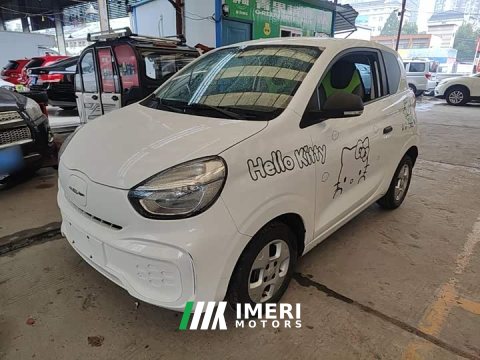 2021 SAIC Corey Wei CLEVER 302km Excellence Edition - ავტომობილი ჩინეთიდან