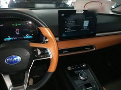 BYD e2 Luxury - ფოტო 10