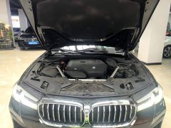 BMW 5 Series Facelift 530Li Luxury M Sport Package - ფოტო 20