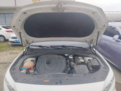 Geely Xingrui 2.0T Diesel Premium - ფოტო 20