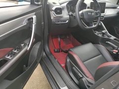 Geely Bingyue 1.4T DCT Platinum Edition - ფოტო 16