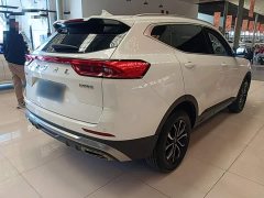Haval H6 1.5T National Trend Urban Edition - ფოტო 7