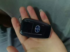 Toyota Camry Hybrid 2.5L HG Luxury - ფოტო 2