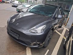 Tesla Model Y Long Range All-Wheel Drive - ფოტო 1