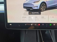 Tesla Model Y Long Range All-Wheel Drive - ფოტო 12