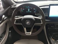 BYD Qin PLUS Glory Edition DM-i 55KM Leading - ფოტო 11