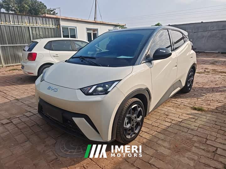 BYD Seagull 2025 305km Freedom Edition - ავტომობილი ჩინეთიდან