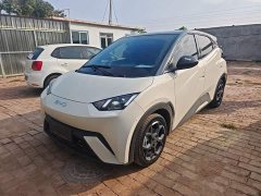 BYD Seagull 2025 305km Freedom Edition - ფოტო 1