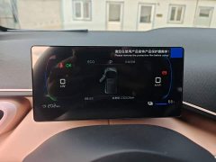 BYD Seagull 2025 305km Freedom Edition - ფოტო 12