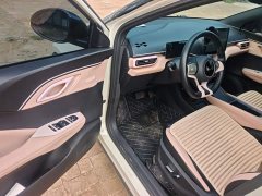 BYD Seagull 2025 305km Freedom Edition - ფოტო 16