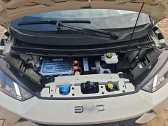 BYD Seagull 2025 305km Freedom Edition - ფოტო 20
