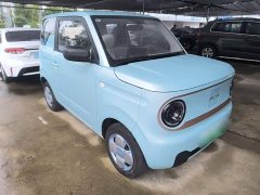 Geely Panda Mini 210km Vitality Edition - ფოტო 4