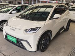 BYD Seagull Freedom Edition - ფოტო 1