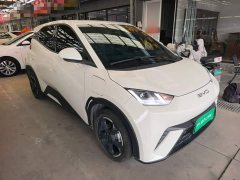 BYD Seagull Freedom Edition - ფოტო 4