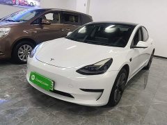 Tesla Model 3 Standard Range RWD Upgrade - ფოტო 1