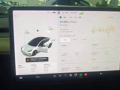 Tesla Model 3 Standard Range RWD Upgrade - ფოტო 12