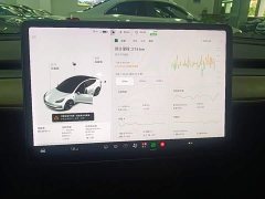 Tesla Model 3 Standard Range RWD Upgrade - ფოტო 13