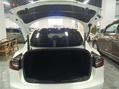 Tesla Model 3 Standard Range RWD Upgrade - ფოტო 19