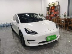 Tesla Model 3 Standard Range RWD Upgrade - ფოტო 4