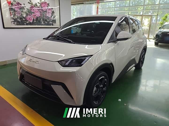 BYD Seagull Freedom Edition - ავტომობილი ჩინეთიდან