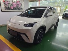 BYD Seagull Freedom Edition - ფოტო 1
