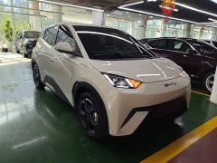 BYD Seagull Freedom Edition - ფოტო 4