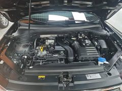 Volkswagen Tiguan L Outstanding Edition 300TSI Automatic Two-Wheel Drive Dragon Ascendant Version - ფოტო 20