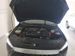 BYD Qin PLUS Glory Edition DM-i 55KM Leading - ფოტო 20