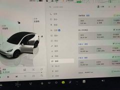 Tesla Model Y Rear-Wheel Drive - ფოტო 12