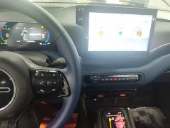 BYD Seagull Glory Edition 305km Freedom Version - ფოტო 13