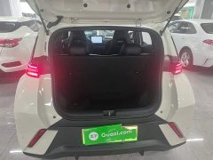 BYD Seagull Glory Edition 305km Freedom Version - ფოტო 19