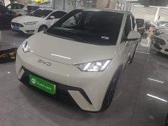 BYD Seagull Glory Edition 305km Freedom Version - ფოტო 2