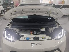 BYD Seagull Glory Edition 305km Freedom Version - ფოტო 20