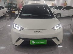 BYD Seagull Glory Edition 305km Freedom Version - ფოტო 3