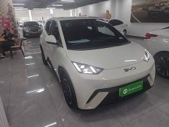 BYD Seagull Glory Edition 305km Freedom Version - ფოტო 4