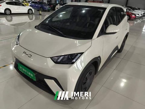 2024 BYD Seagull Glory Edition 305km Vitality Version - ავტომობილი ჩინეთიდან