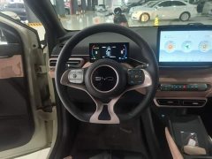 BYD Seagull Glory Edition 305km Vitality Version - ფოტო 11