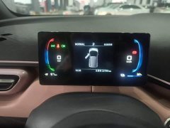 BYD Seagull Glory Edition 305km Vitality Version - ფოტო 12