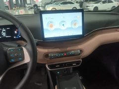 BYD Seagull Glory Edition 305km Vitality Version - ფოტო 13
