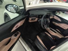 BYD Seagull Glory Edition 305km Vitality Version - ფოტო 16