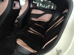 BYD Seagull Glory Edition 305km Vitality Version - ფოტო 17