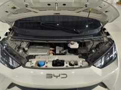 BYD Seagull Glory Edition 305km Vitality Version - ფოტო 20