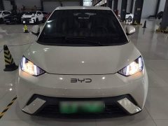 BYD Seagull Glory Edition 305km Vitality Version - ფოტო 3
