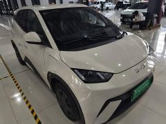 BYD Seagull Glory Edition 305km Vitality Version - ფოტო 4