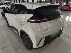 BYD Seagull Glory Edition 305km Vitality Version - ფოტო 5