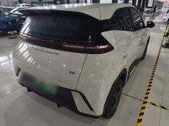 BYD Seagull Glory Edition 305km Vitality Version - ფოტო 7