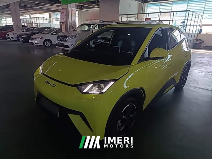 BYD Seagull 2023 Freedom Edition - ავტომობილი ჩინეთიდან