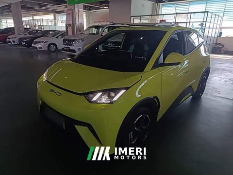 2024 BYD Seagull 2023 Freedom Edition - ავტომობილი ჩინეთიდან
