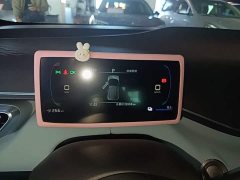 BYD Seagull 2023 Freedom Edition - ფოტო 12
