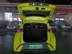 BYD Seagull 2023 Freedom Edition - ფოტო 19